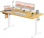 Smug Standing Desk, Adjustable Height Electric Sit Stand Up Down Computer Table, 63x24 inch Ergonomic Rising Desks for Work Office Home, Modern Lift