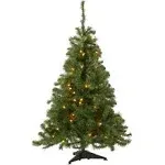 National Tree 4' Kincaid Spruce Tree with 100 Clear Lights