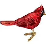 Old World Christmas Shiny Red Northern Cardinal Ornament