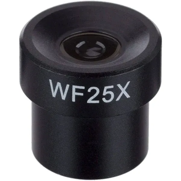 One 25X Microscope Eyepiece (23mm)