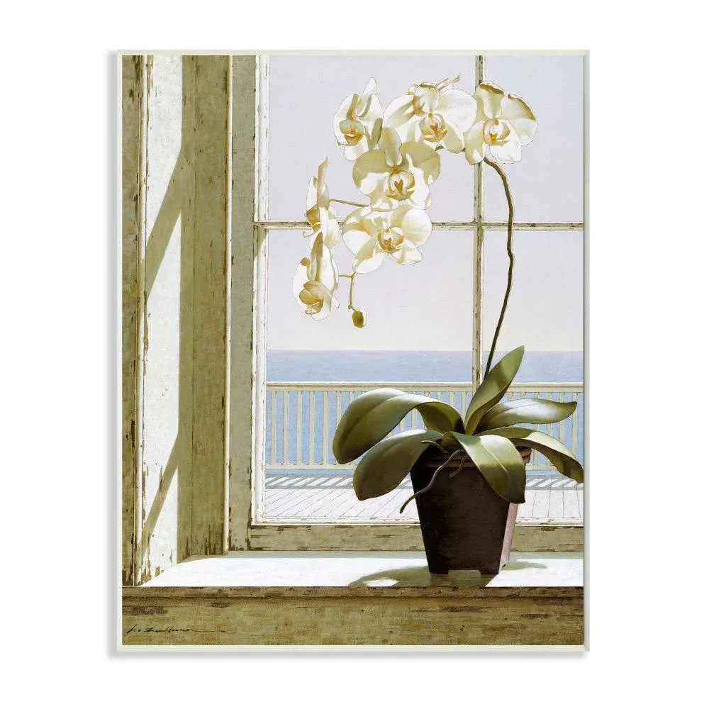 Stupell Industries White Orchid in Window Realistic Coastal Painting Unframed Art ...