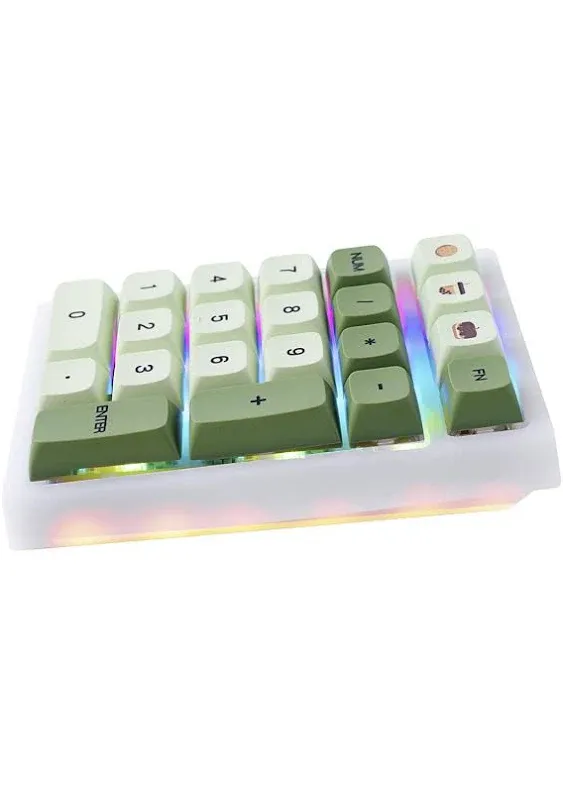 BOYI TD21 Hot Swappable Numpad,21 Keys Mini Numpad Portable Keypad Bluetooth 5.0/2.4ghz/Wired Number Pad Keyboard PBT Keycaps RGB Backlit Type-C