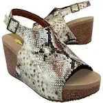 VOLATILE Womens Division Leopard Athletic Sandals Casual High Heel 3" & Up - Brown