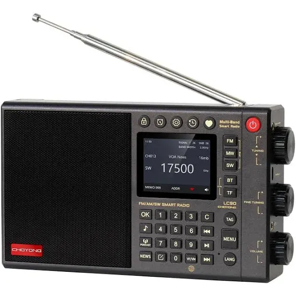 CHOYONG lc90 Portable Digital Internet Radio AM/FM