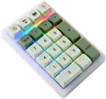 BOYI TD21 Hot Swappable Numpad,21 Keys Mini Numpad Portable Keypad Bluetooth 5.0/2.4ghz/Wired Number Pad Keyboard PBT Keycaps RGB Backlit Type-C