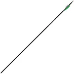 Easton Genesis Arrows Black 1820 6 pk.