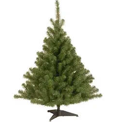 National Tree 4' Kincaid Spruce Tree with 100 Clear Lights