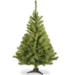 National Tree Company Kincaid Spruce Tree 6 ft.