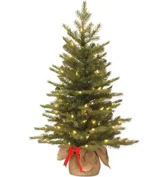 National Tree Company Nordic Spruce Tree