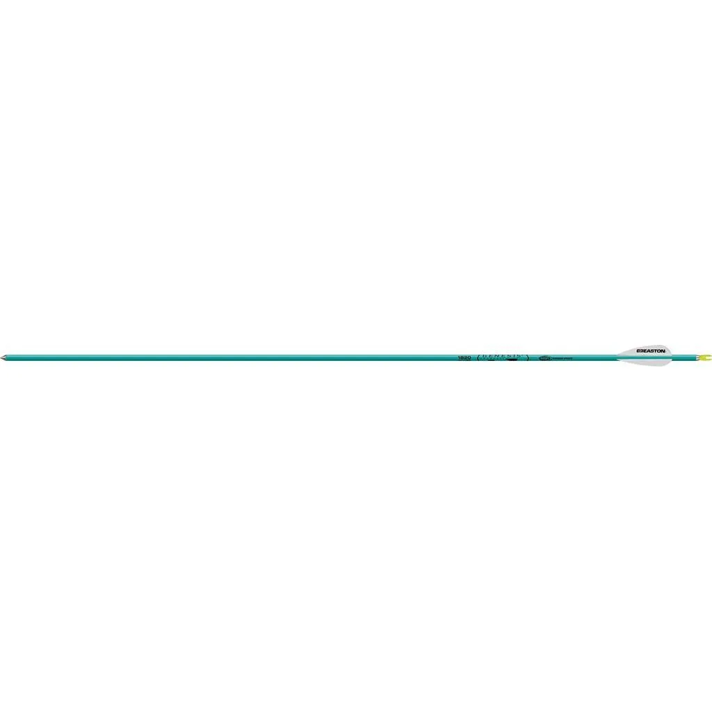 Easton Genesis V2 Arrows with 3" Vanes (6 Pack), 1820, Teal