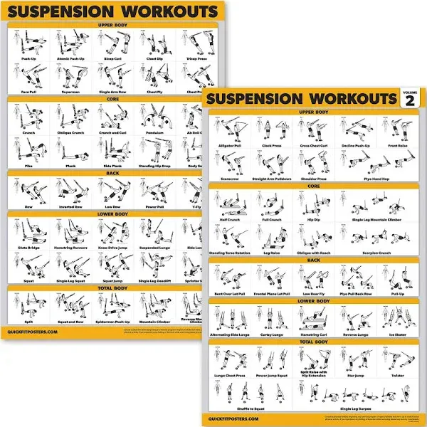 2 Pack Suspension Workout Posters - Volume 1 &amp; 2 - Laminated Exercise Charts - 1