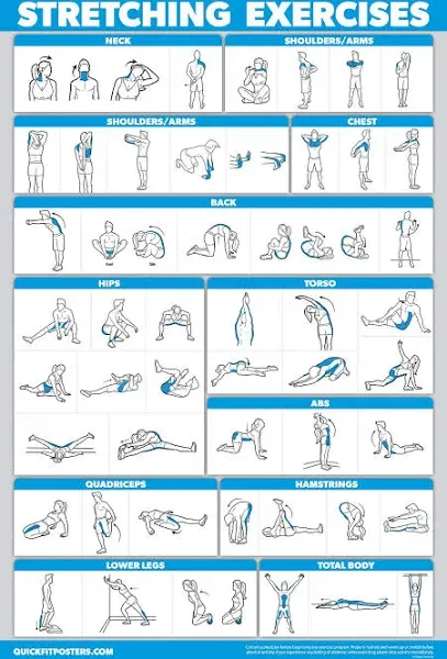 QuickFit Stretching Workout Exercise Poster - Stretch Routine (LAMINATED, 18in x 27in) for Playroom