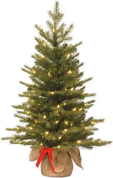 CC Christmas Decor 3' Pre-Lit Potted Nordic Spruce Artificial Christmas Tree