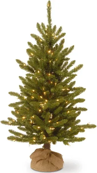 National Tree Company 4 ft. Kensington Burlap Tree with Green 4 Foot