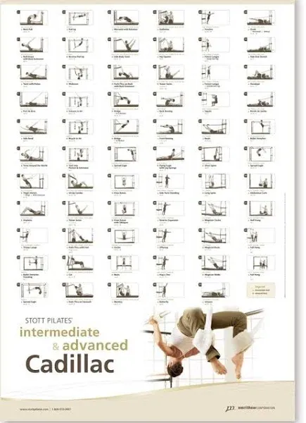 STOTT PILATES Wall Chart