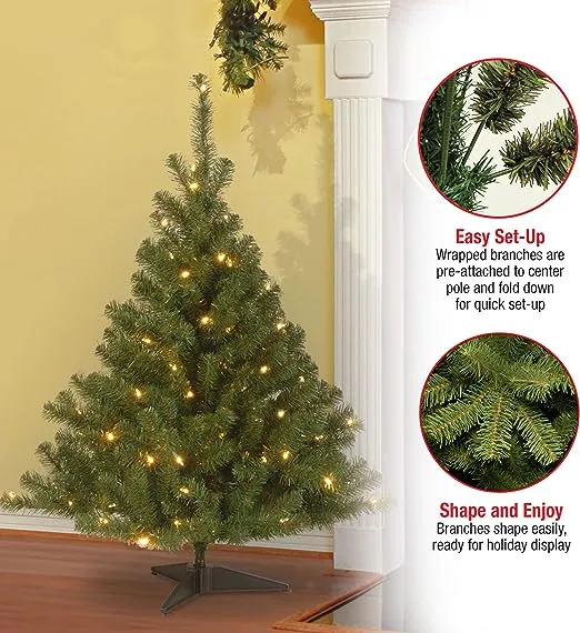 National Tree 4' Kincaid Spruce Tree with 100 Clear Lights