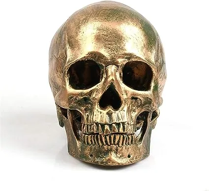 ECYC 1:1 Resin Human Skull Model Halloween Props Home Decorations High Fidelity Skull Head Sculpture Life Size, Bronze