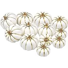 Artmag Artificial Pumpkins Bulk 12Pcs Assorted Sizes Harvest Lifelike Pumpkin Fake Foam Pumpkin for Fall Autumn Halloween Home Party Thanksgiving Party Holiday Decor White Goldline