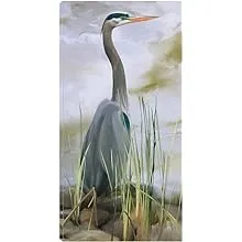 Blue Heron Canvas Prints by Studio Arts 21x40 Fineartcanvas