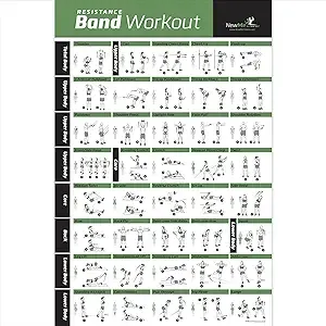 NewMe Fitness Workout Posters for Home Gym - Exercise Posters for Full Body Workout - Core, Abs, Legs, Glutes & Upper Body Training Program