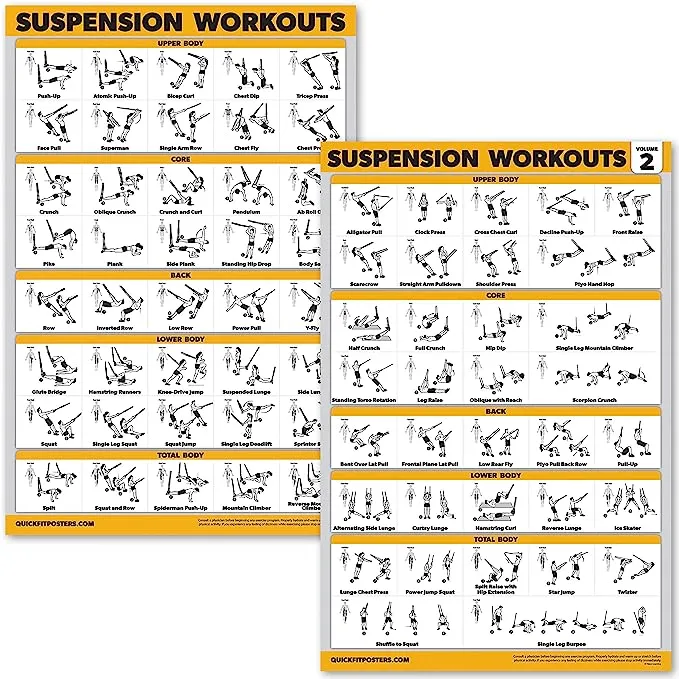 Palace Learning 2 Pack Suspension Workout Posters - Volume 1 & 2 - LAMINATED Exercise Charts - 18" x 24" Vol. 1 & 2