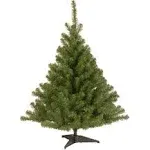 National Tree Company 4 ft. Kincaid Spruce Tree