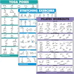 Quickfit 3 Pack - Yoga Poses + Stretching Exercises + Pilates Mat Work Poster Se