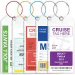 Cruise Ship Essentials for Carnival Princess Norwegian Cruise Luggage tag Hol...